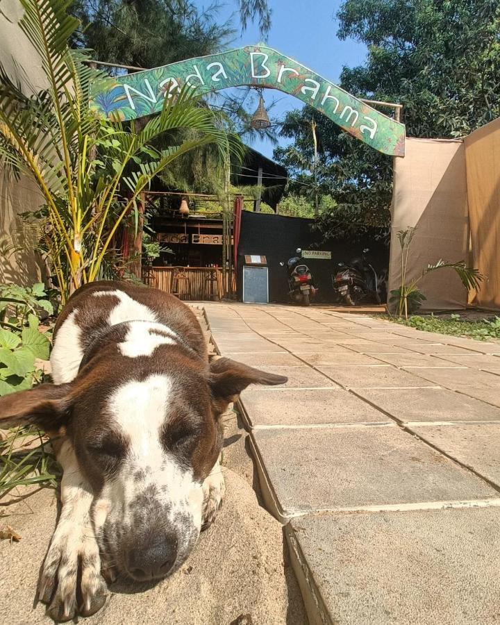 Nada Brahma Patnem Beach Esterno foto